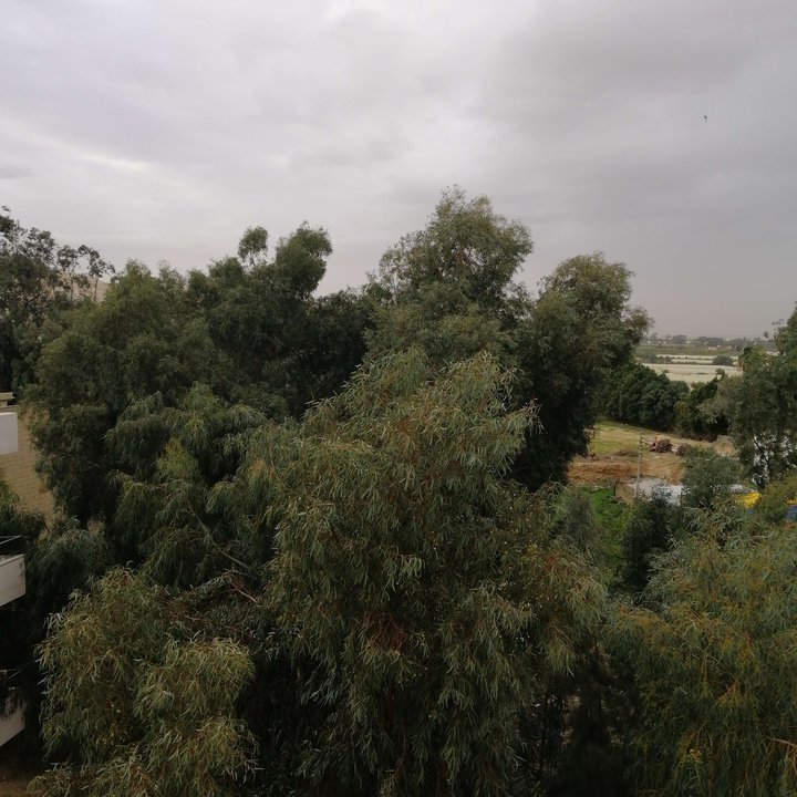 My Crowdsourcing Posts