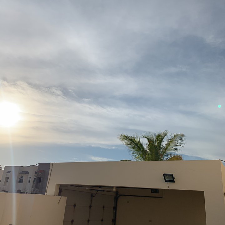 مشاركاتي في أنت الراصد