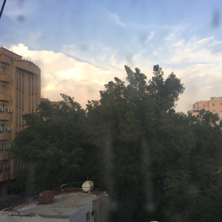 مشاركاتي في أنت الراصد