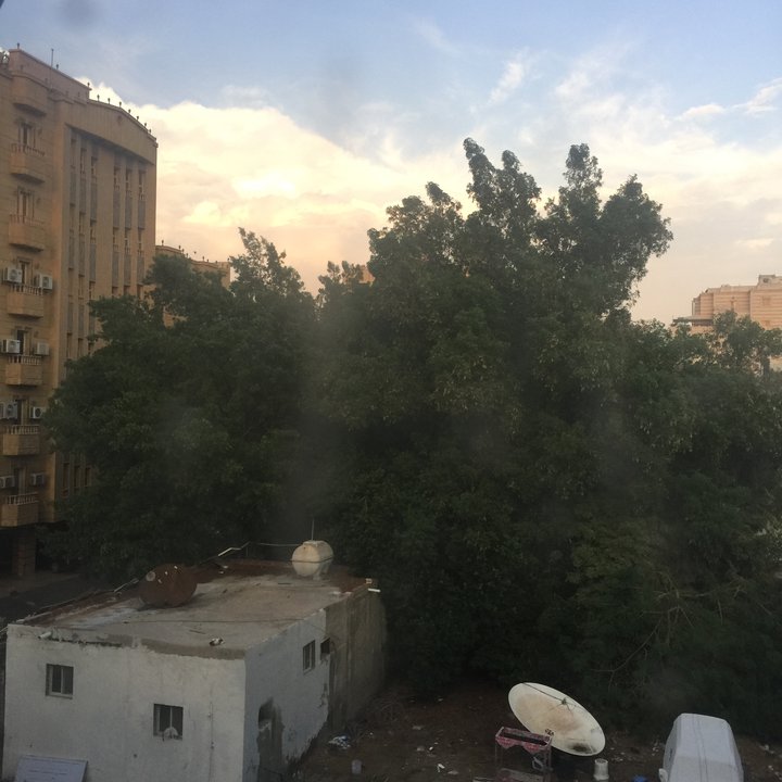 مشاركاتي في أنت الراصد