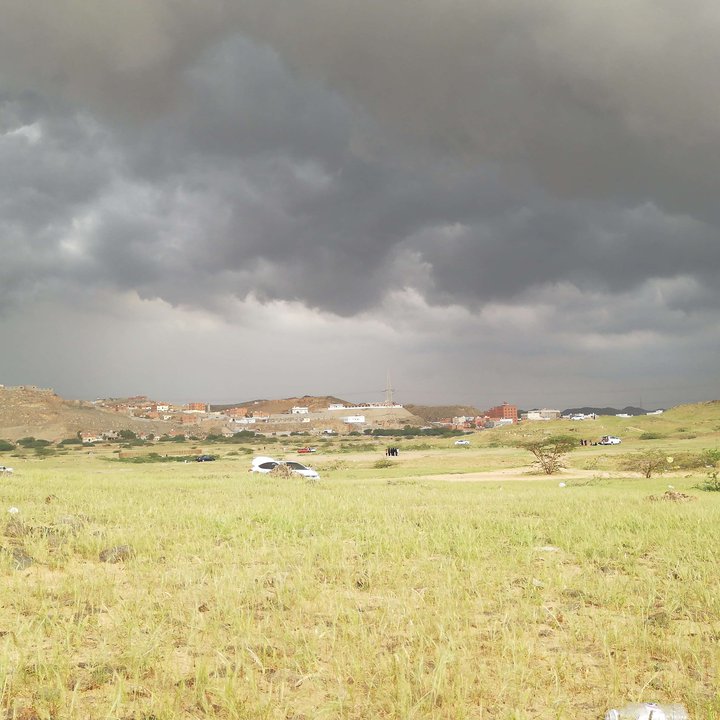 مشاركاتي في أنت الراصد