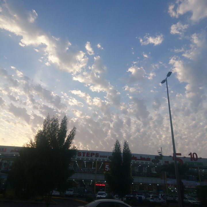 مشاركاتي في أنت الراصد