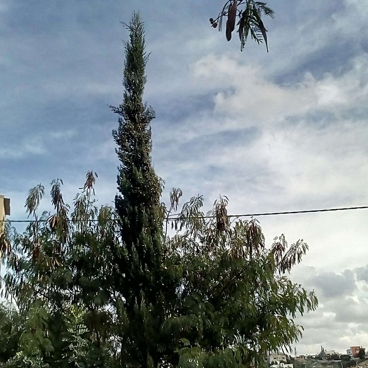 My Crowdsourcing Posts