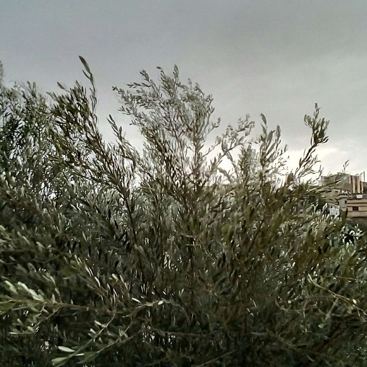 My Crowdsourcing Posts