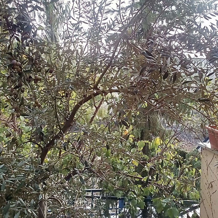 My Crowdsourcing Posts