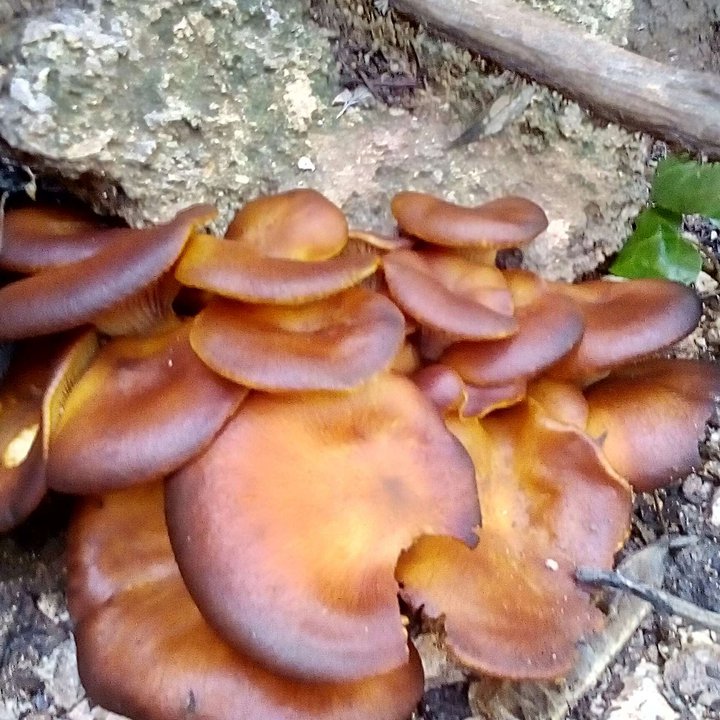 My Crowdsourcing Posts