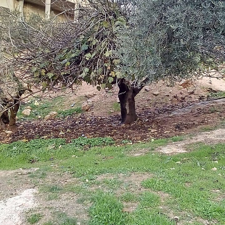 My Crowdsourcing Posts