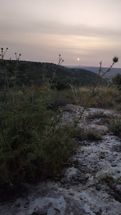 My Crowdsourcing Posts