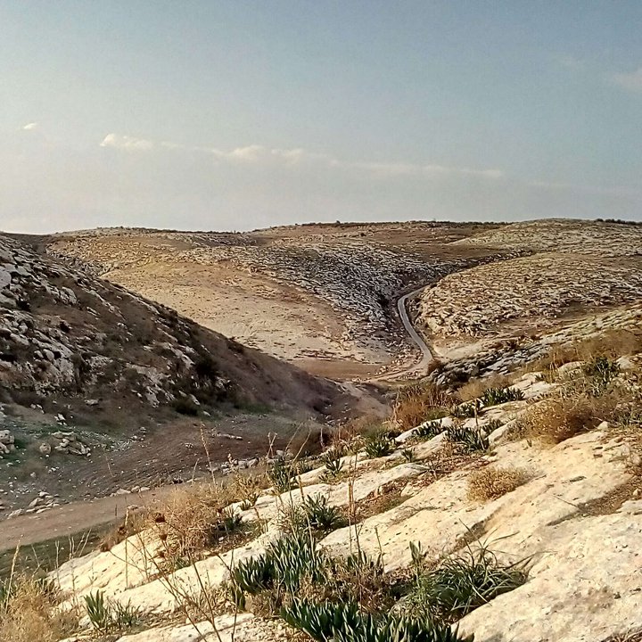 My Crowdsourcing Posts