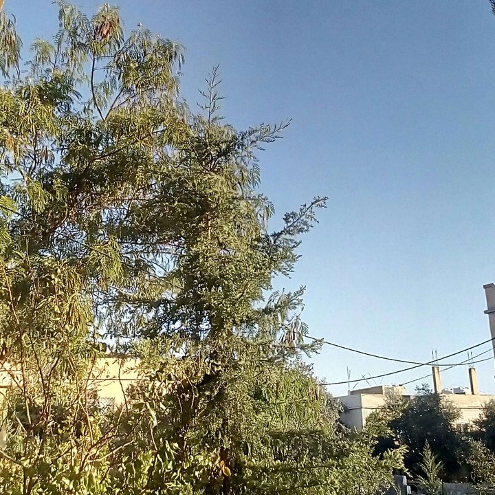 My Crowdsourcing Posts