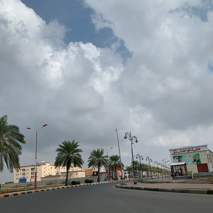 مشاركاتي في أنت الراصد