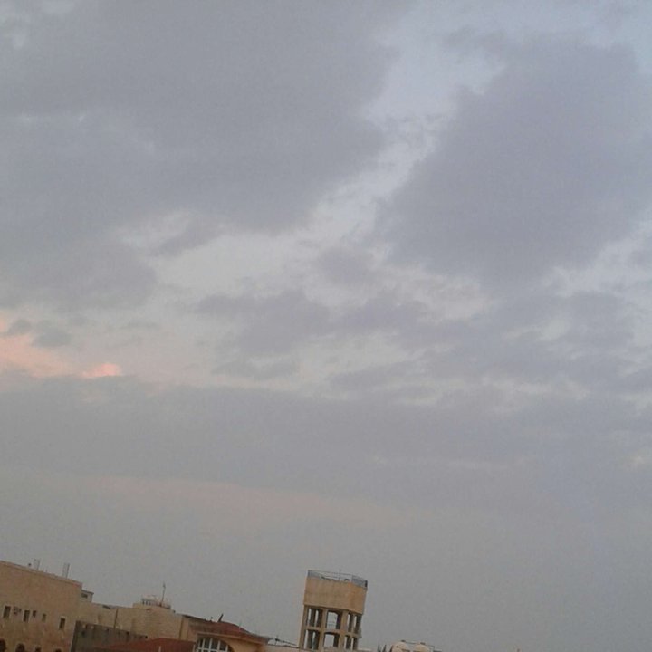 مشاركاتي في أنت الراصد