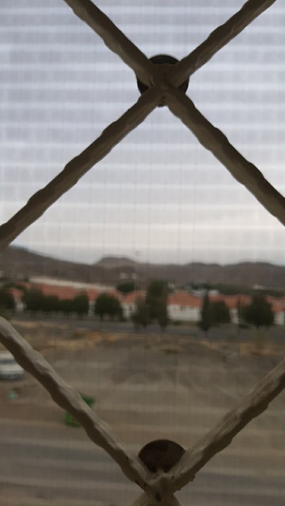 مشاركاتي في أنت الراصد