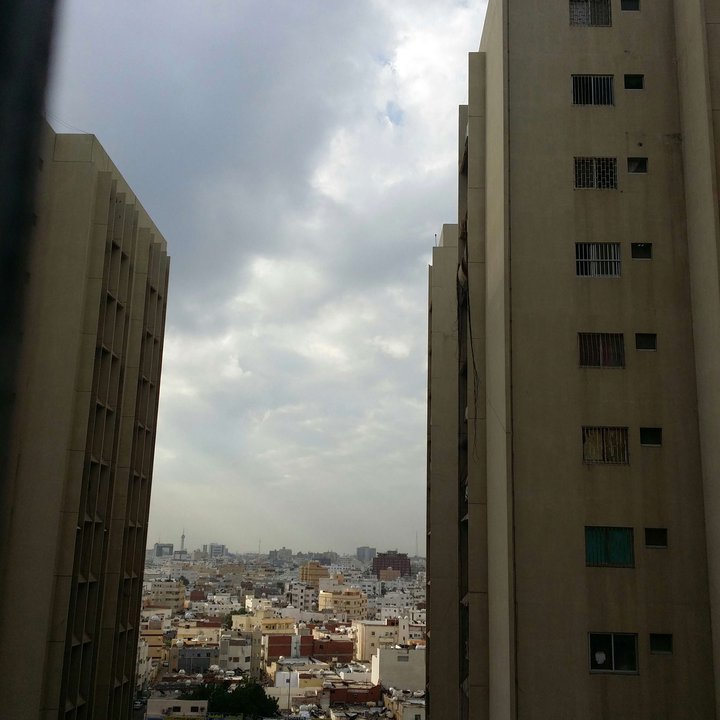 مشاركاتي في أنت الراصد