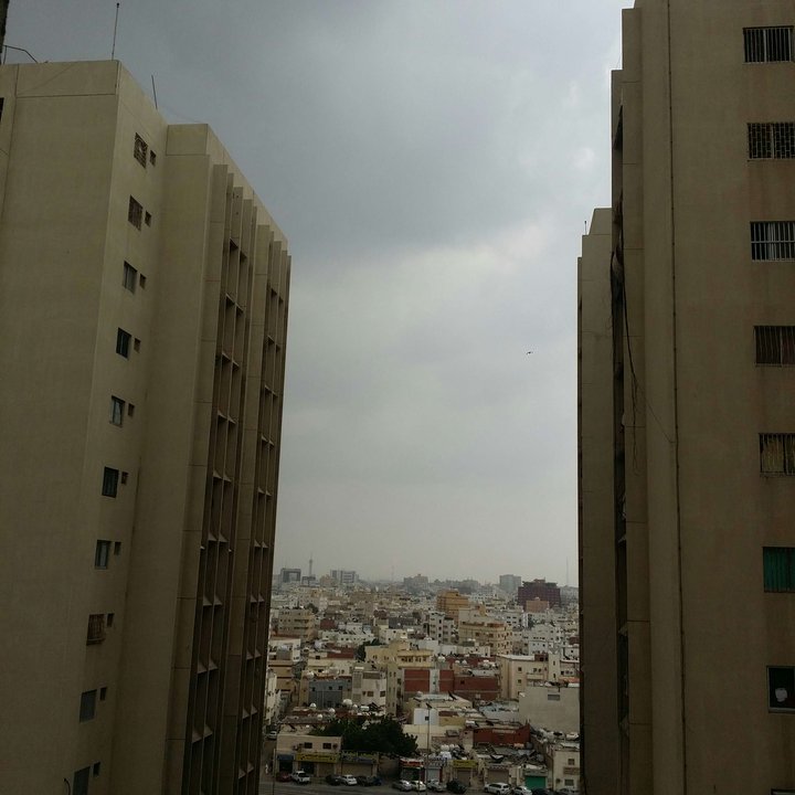 مشاركاتي في أنت الراصد