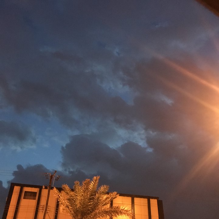 مشاركاتي في أنت الراصد