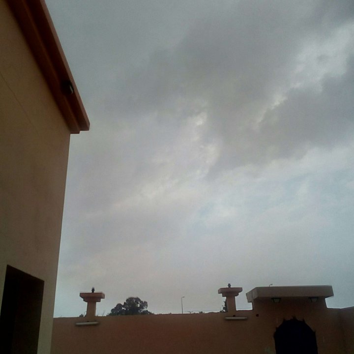 مشاركاتي في أنت الراصد