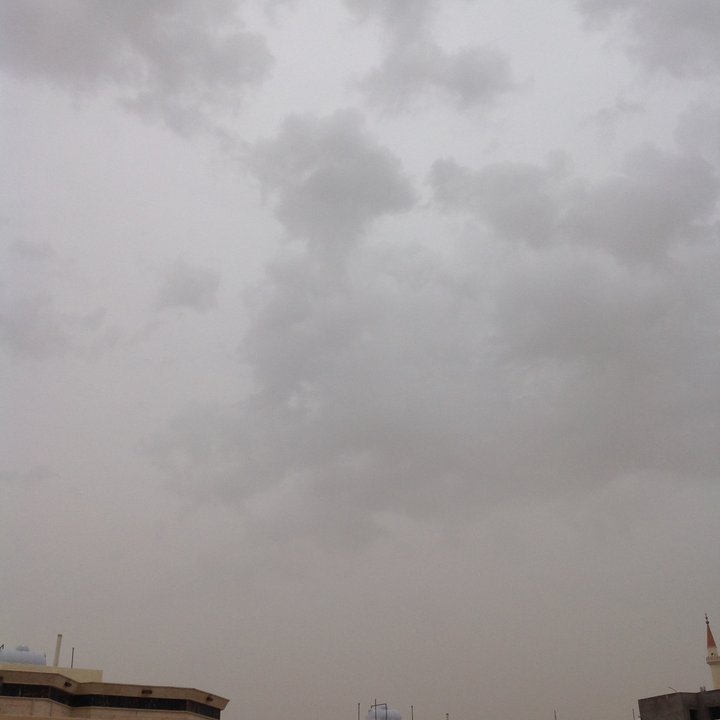 مشاركاتي في أنت الراصد