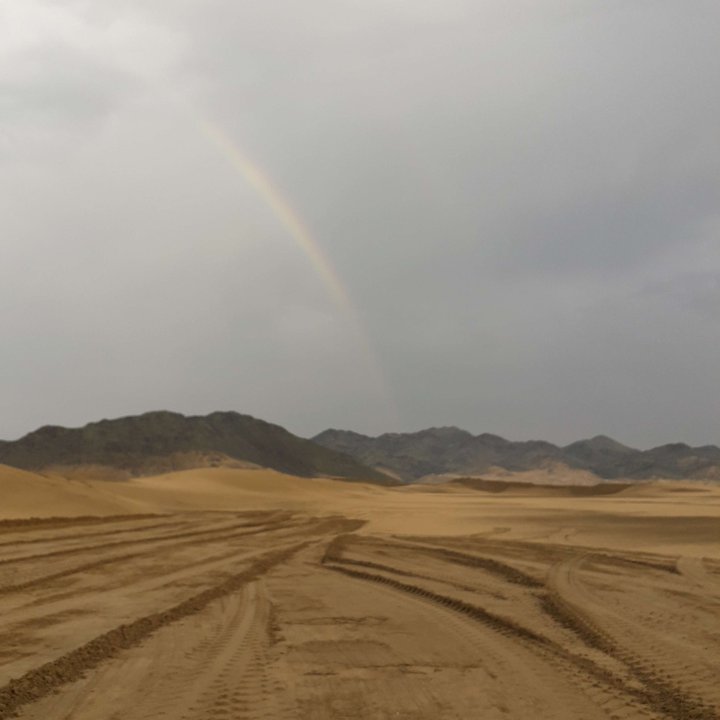 مشاركاتي في أنت الراصد