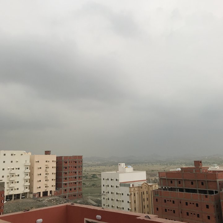 مشاركاتي في أنت الراصد