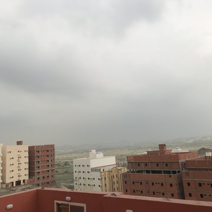 مشاركاتي في أنت الراصد