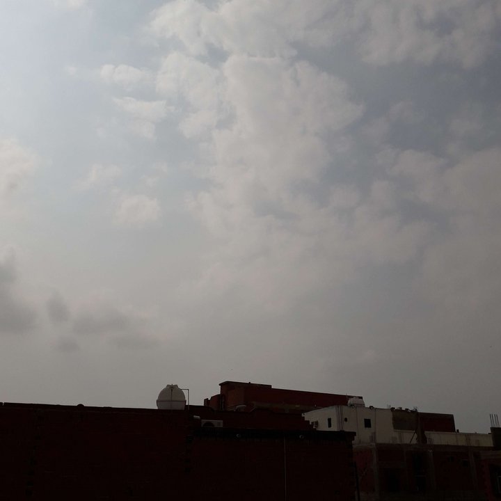 مشاركاتي في أنت الراصد