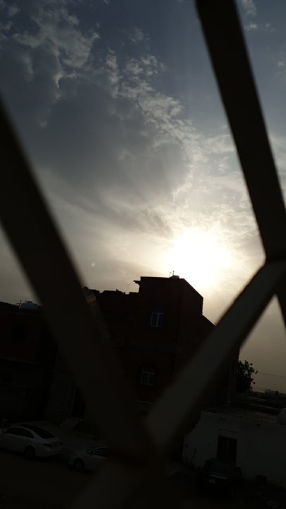 مشاركاتي في أنت الراصد