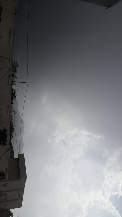 مشاركاتي في أنت الراصد