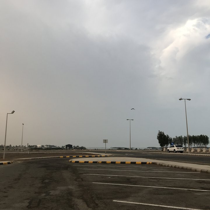 مشاركاتي في أنت الراصد