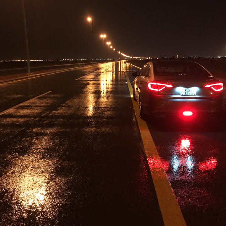 مشاركاتي في أنت الراصد