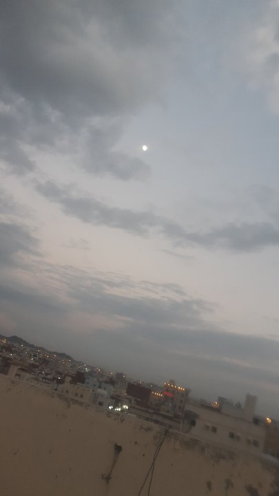 مشاركاتي في أنت الراصد