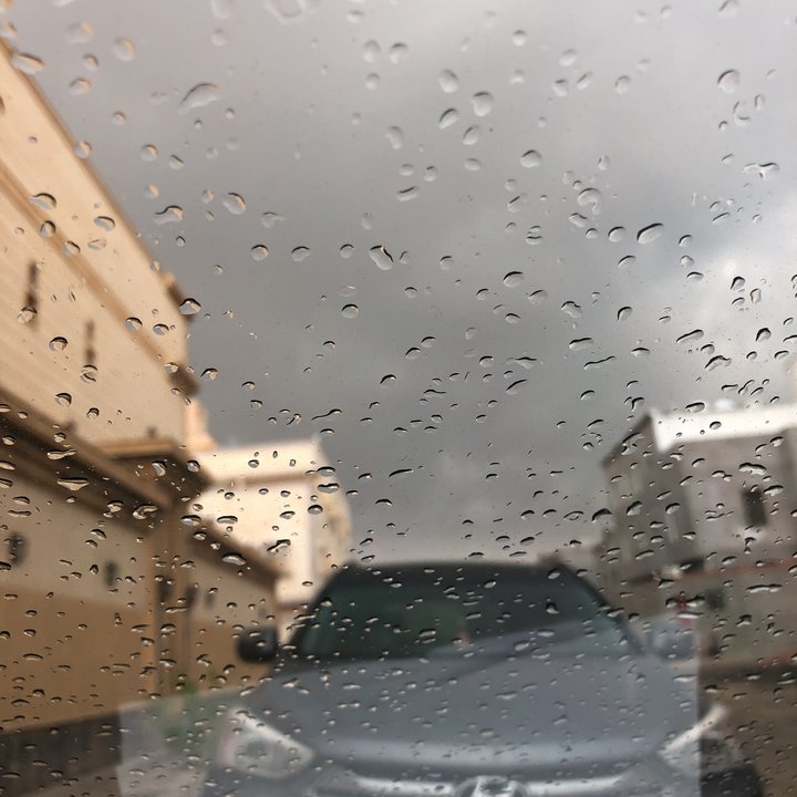 مشاركاتي في أنت الراصد