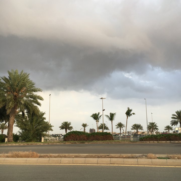 مشاركاتي في أنت الراصد