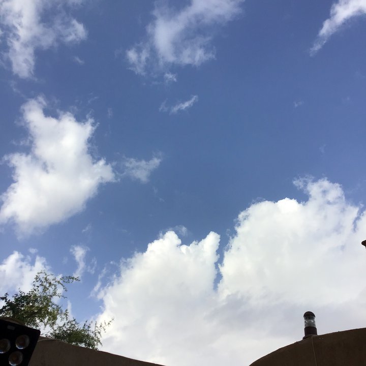 مشاركاتي في أنت الراصد