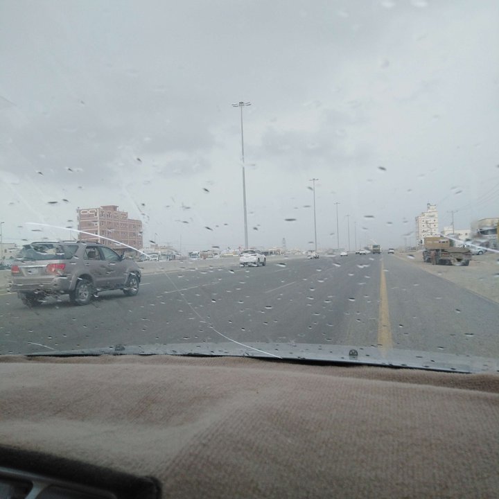 مشاركاتي في أنت الراصد