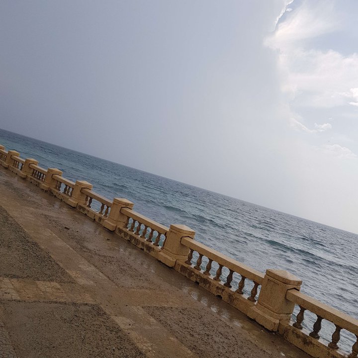 مشاركاتي في أنت الراصد