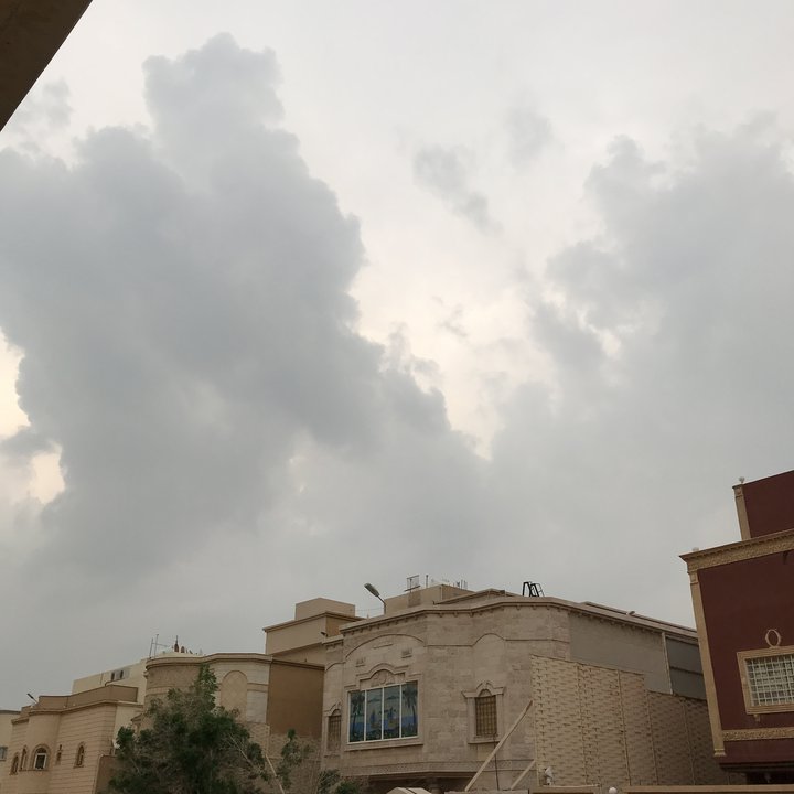 مشاركاتي في أنت الراصد