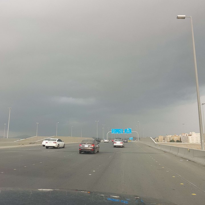 مشاركاتي في أنت الراصد