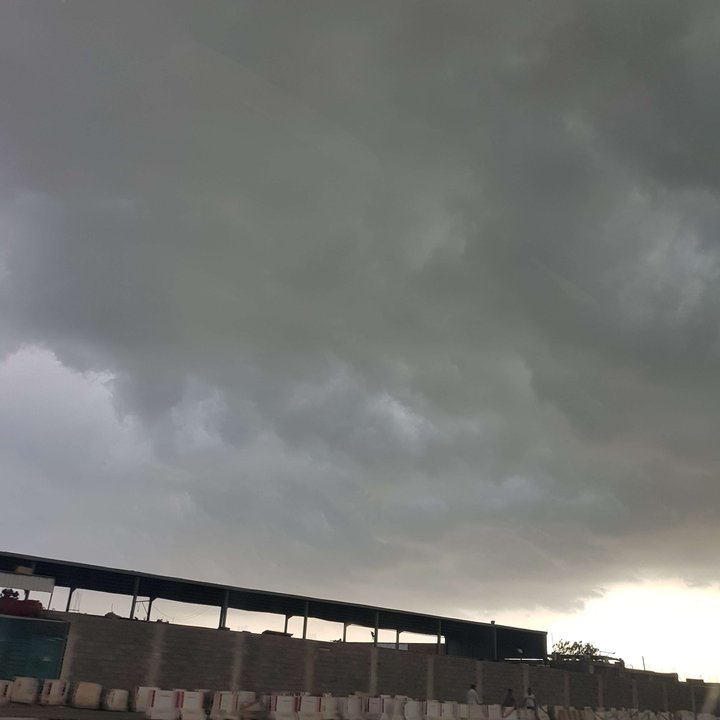 مشاركاتي في أنت الراصد