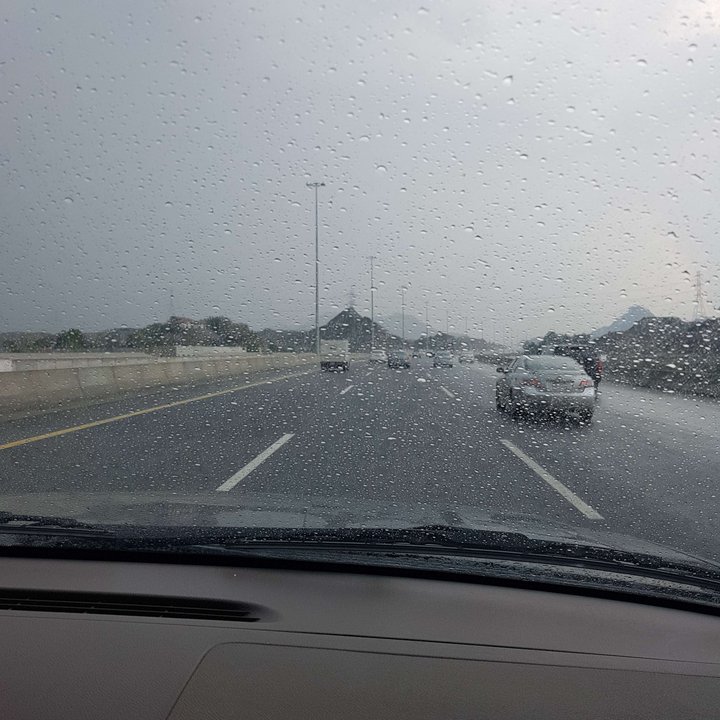 مشاركاتي في أنت الراصد