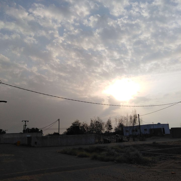 مشاركاتي في أنت الراصد