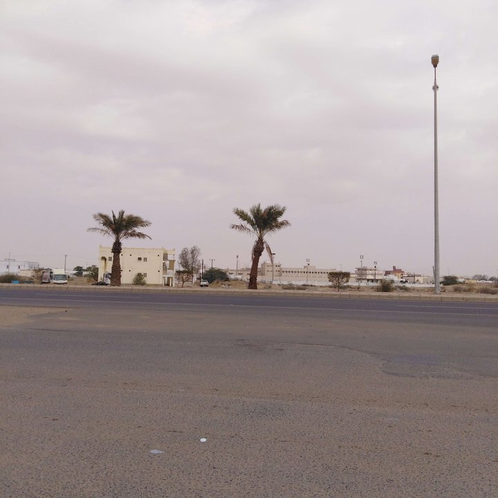 مشاركاتي في أنت الراصد