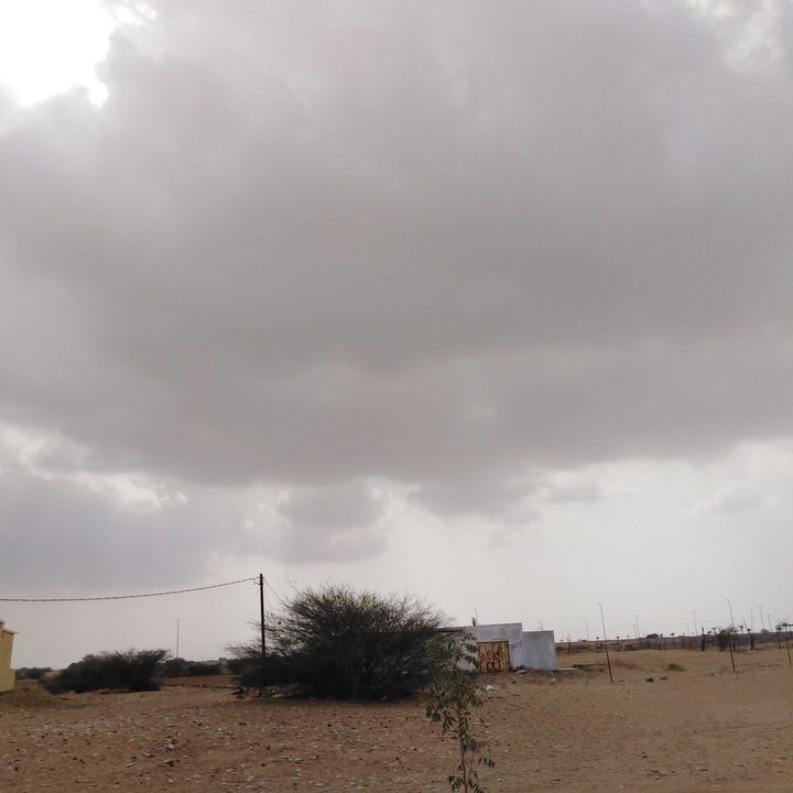 مشاركاتي في أنت الراصد