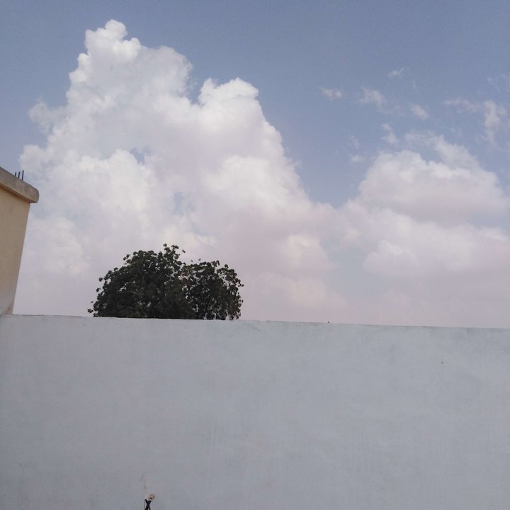 مشاركاتي في أنت الراصد