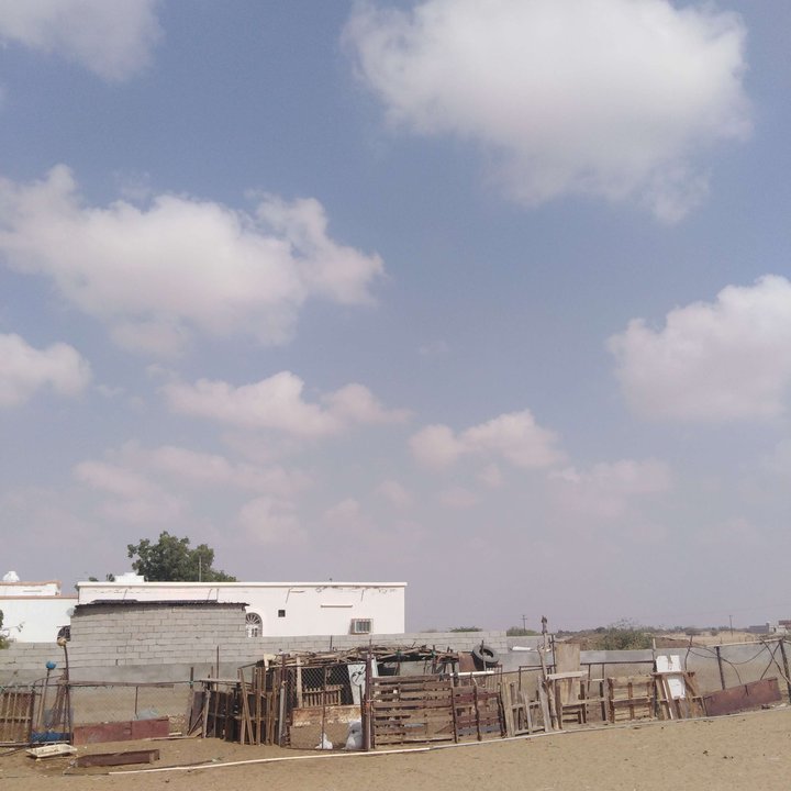 مشاركاتي في أنت الراصد