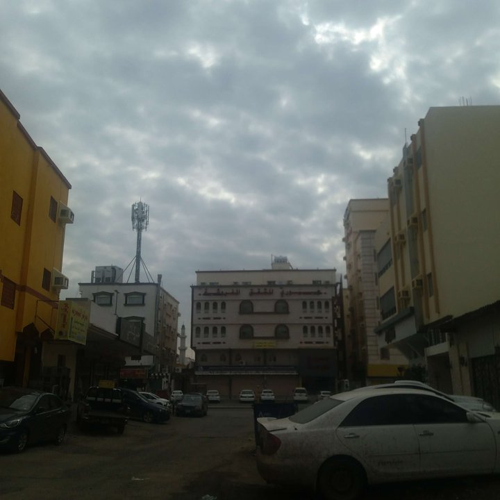 مشاركاتي في أنت الراصد