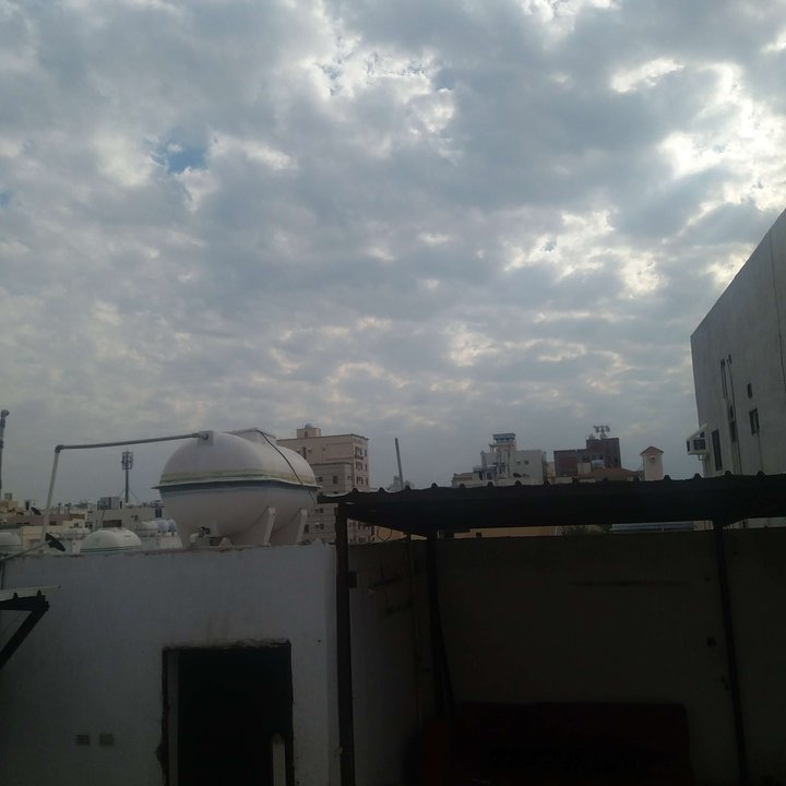 مشاركاتي في أنت الراصد