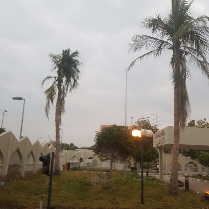 مشاركاتي في أنت الراصد