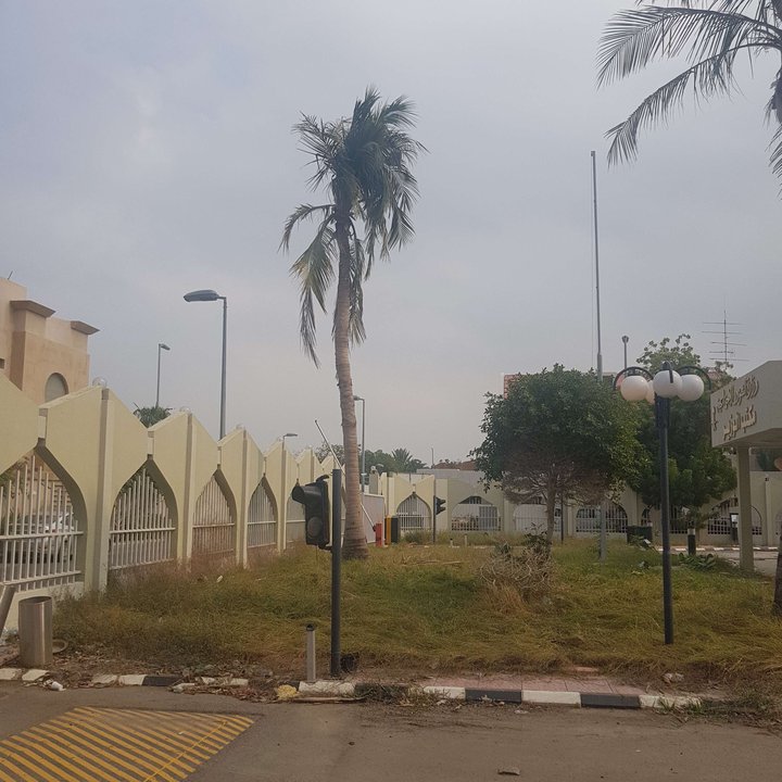 مشاركاتي في أنت الراصد