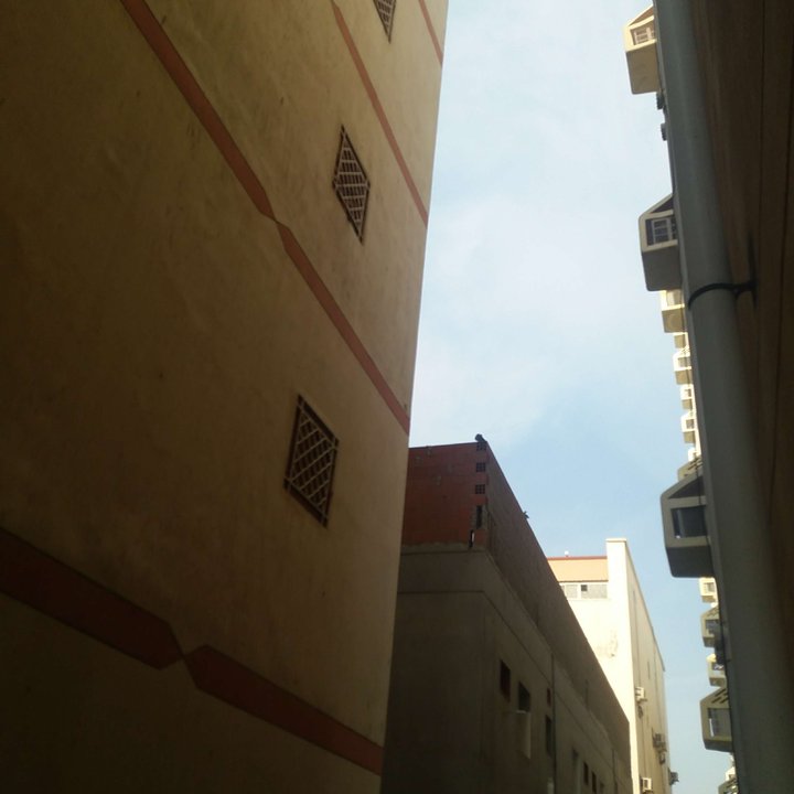 مشاركاتي في أنت الراصد